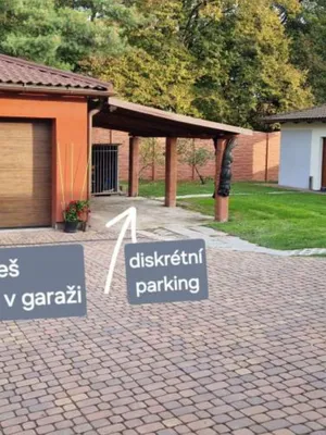 Эротический приват Dreammasage - фото 2